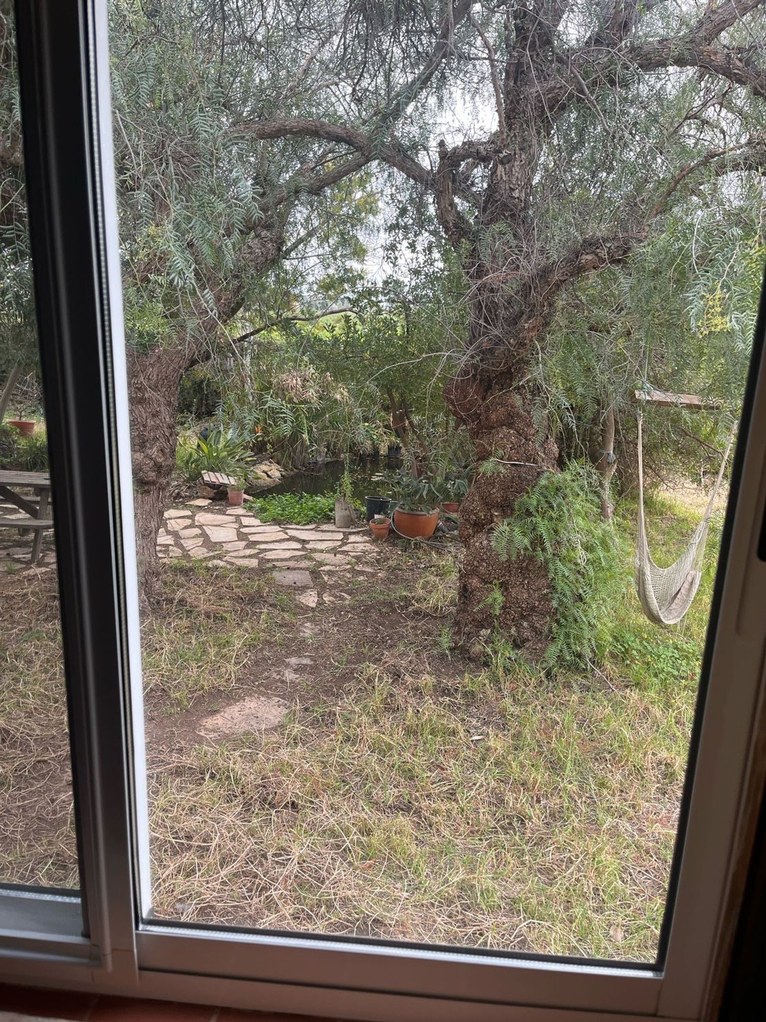 Casa independiente en Diseminado P068, 256 - Foto 38