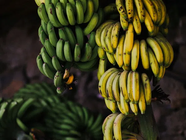 Casa rural en camino Carril, 39 - Foto 11