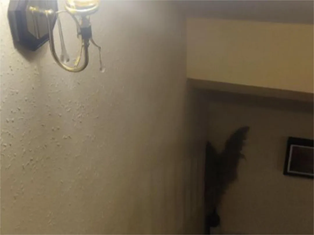 Casa adosada en  Carrer de l'Abat Escarré 34 - Foto 25