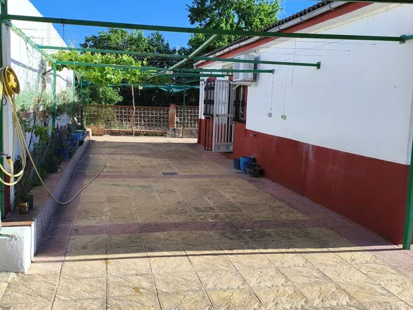 Casa o chalet independiente en Pago de la Fraila & Comunidad Los Chopos s/n - Foto 5