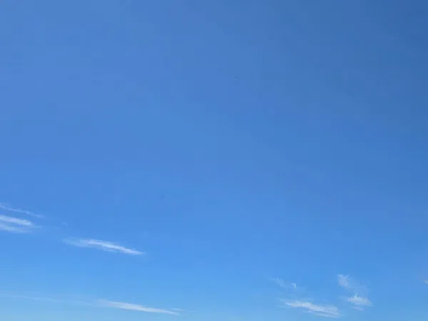 Chalet pareado en calle Cardenal Pedro González, 20 - Foto 4