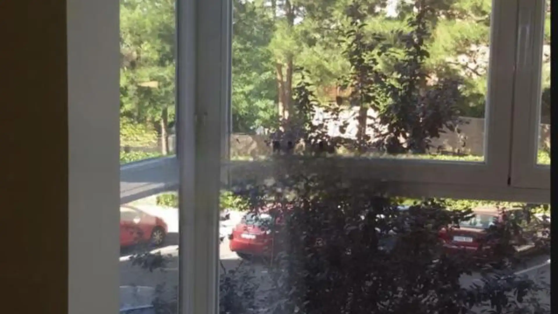 Piso en  Calle de Samaniego 20 - Foto 7