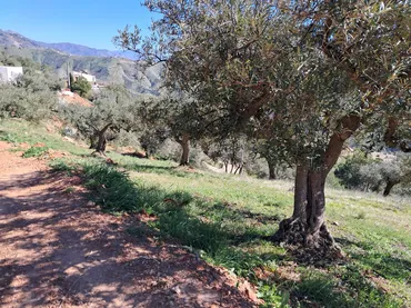 Finca rústica en  Diseminado el Cerval Pol 15 34B - Foto 30