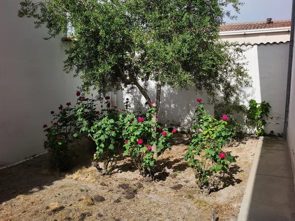 Casa de pueblo en Calle Cantarranas, 10 - Foto 32