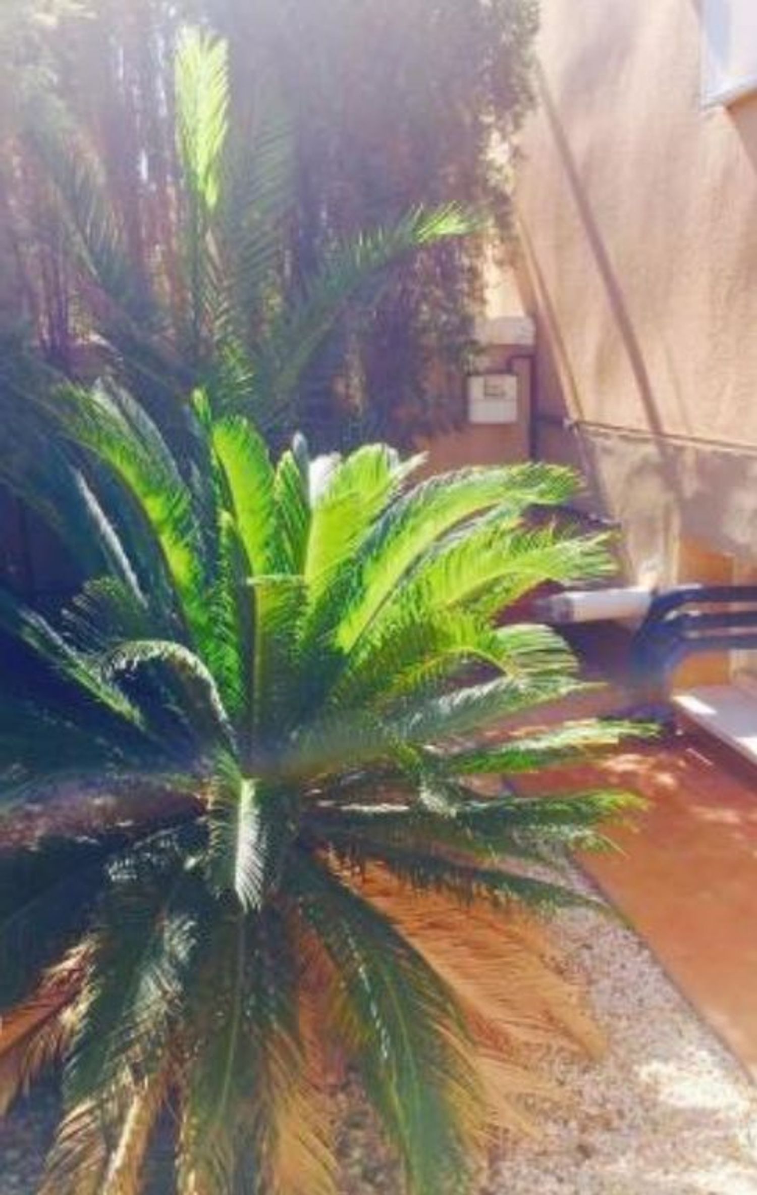 Chalet adosado en Calle Nápoles, 3 e, El Plan-Polígono de Santa Ana - Foto 7
