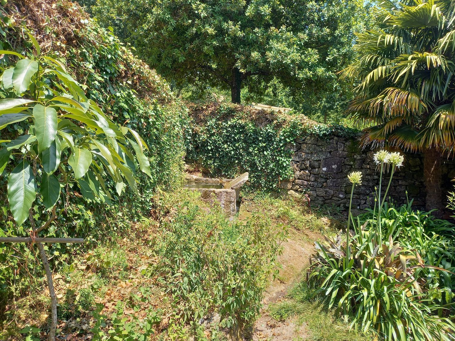 Casa rural en Lugar Carrizans-Escuadra, 17 - Foto 26