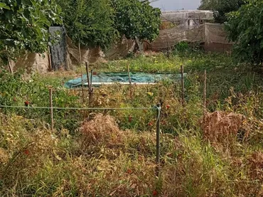 Planta baja en  Calle Galdames 83 - Foto 2