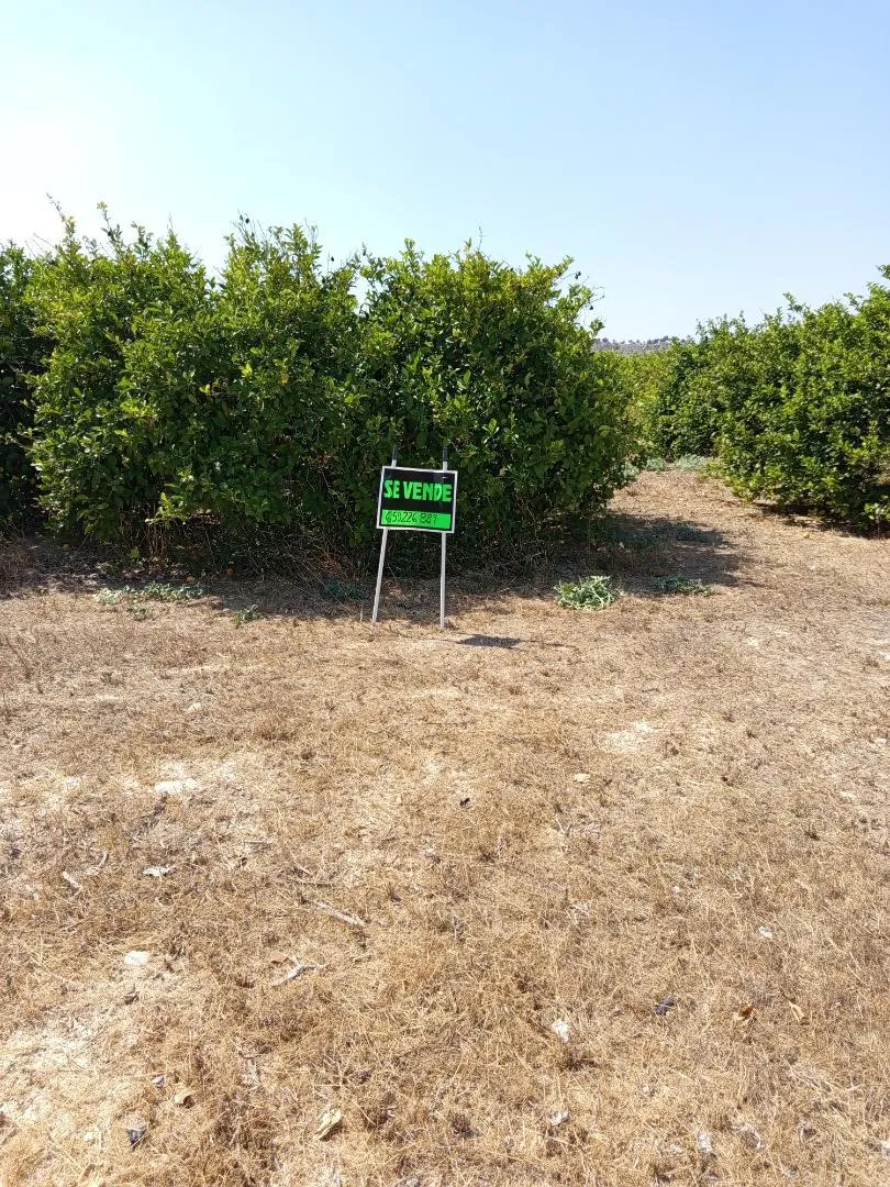 Finca rústica en  Diseminado Chalanas 10 - Foto 1