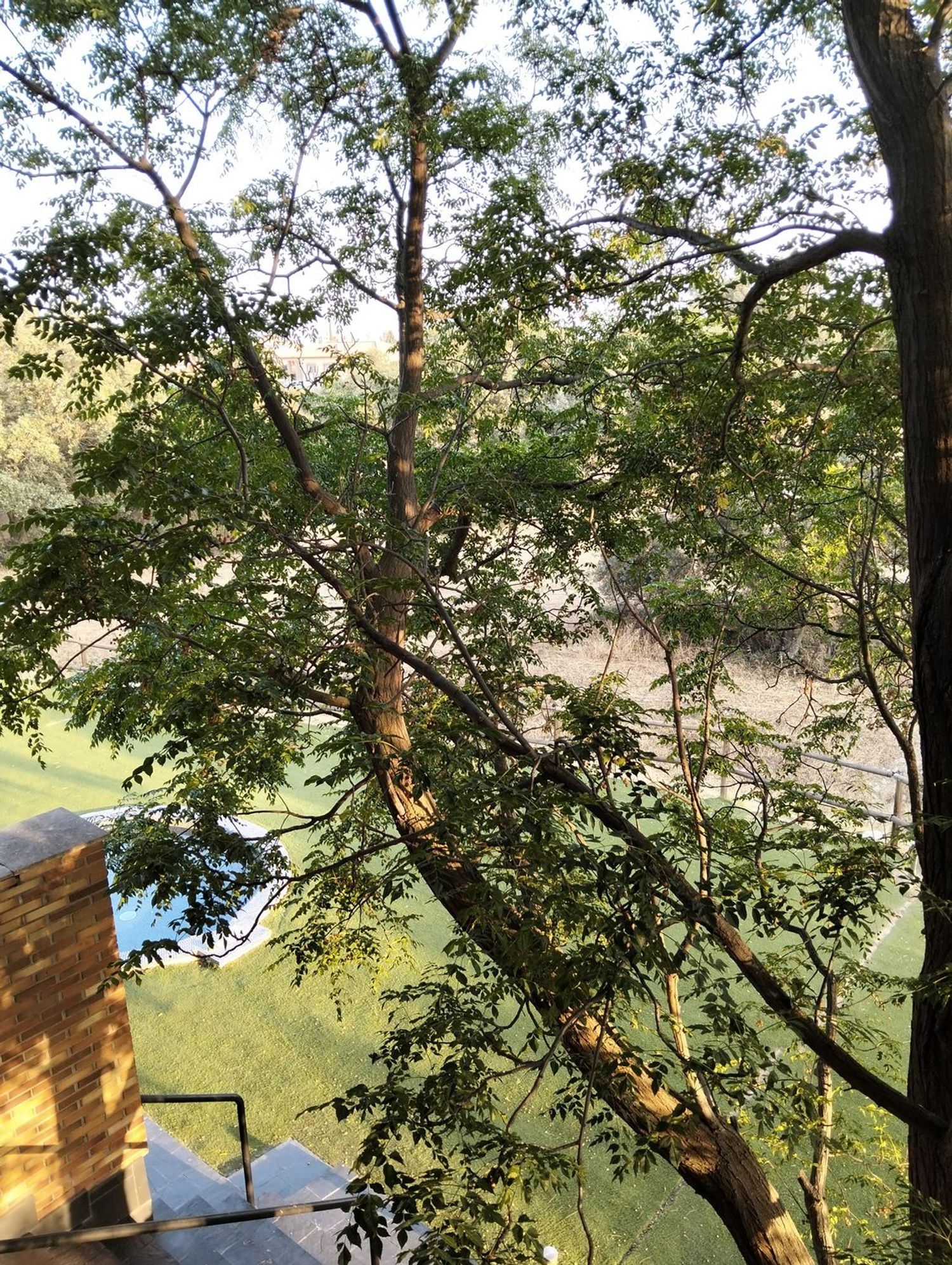 Dúplex en Raya del Palancar - Guadamonte, Raya del Palancar - Guadamonte - Foto 21
