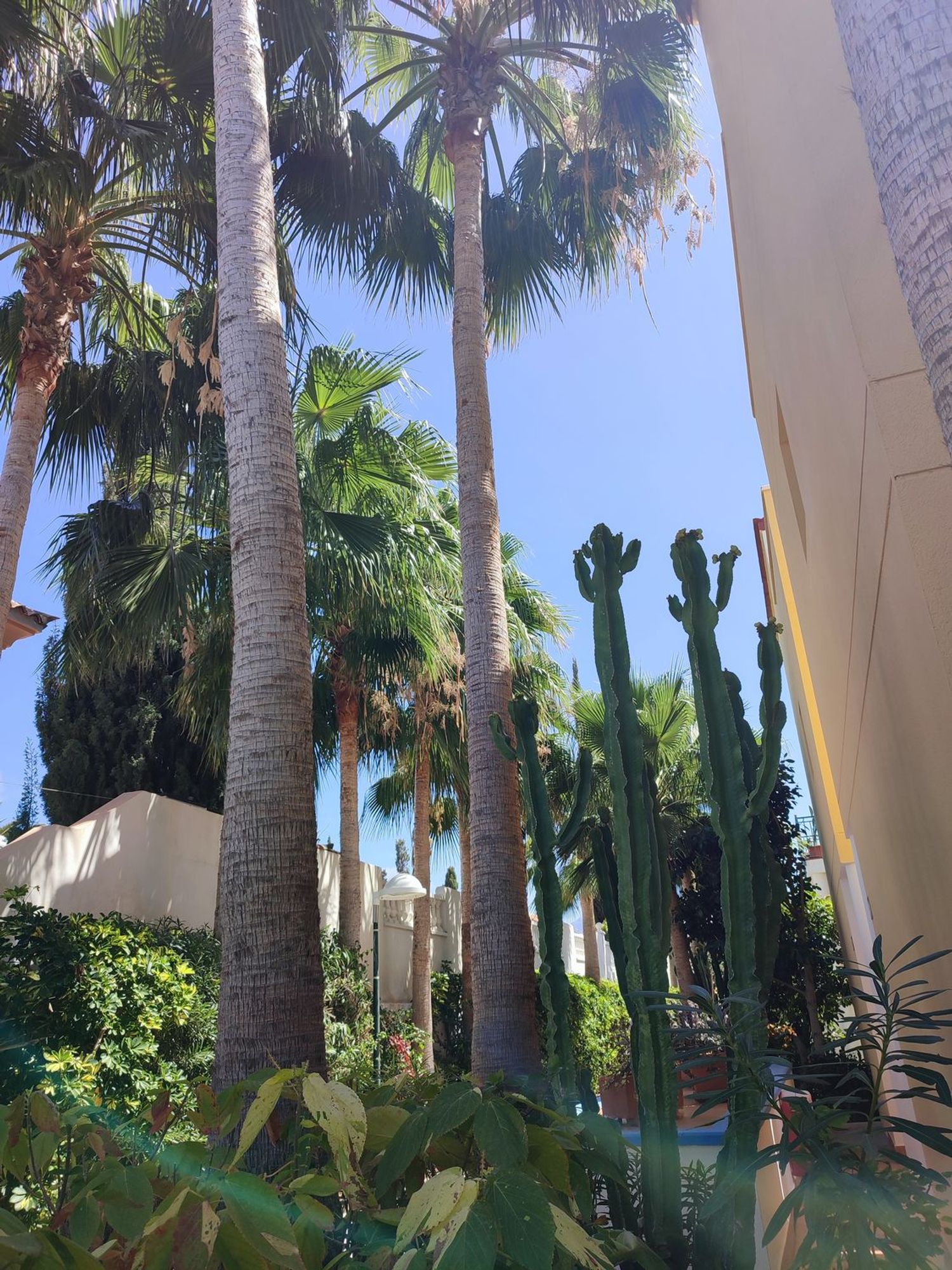 Piso en calle La Zahorra, 11 - Foto 30