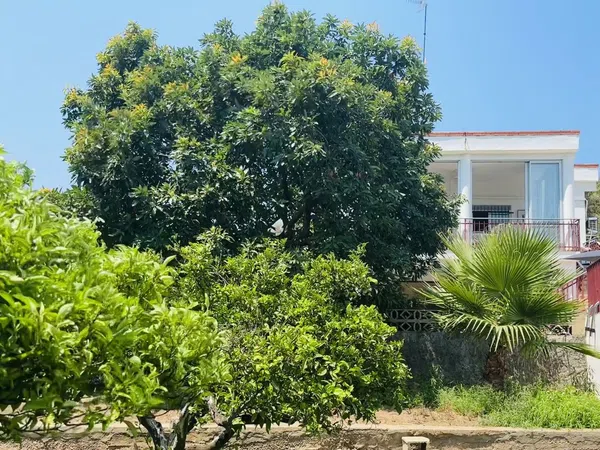 Casa o chalet independiente en Quart de les Valls - Foto 4