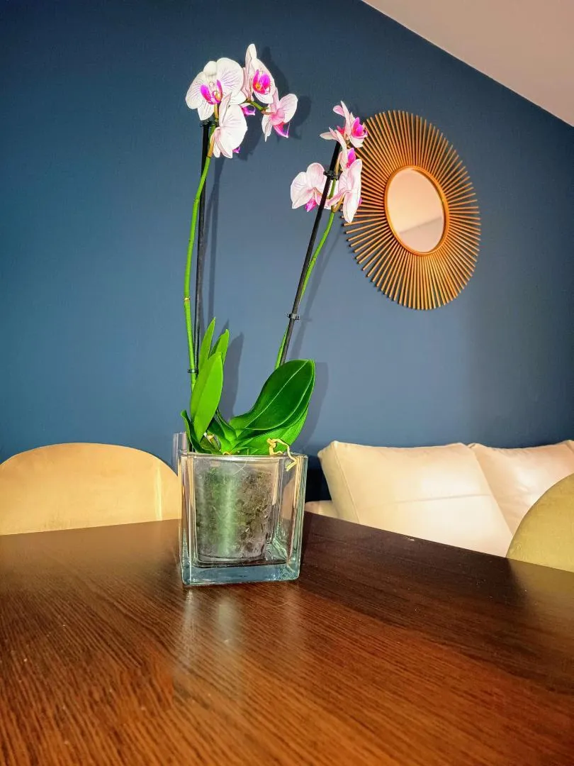 Piso en  Calle Arroyo Totalán 9 - Foto 4