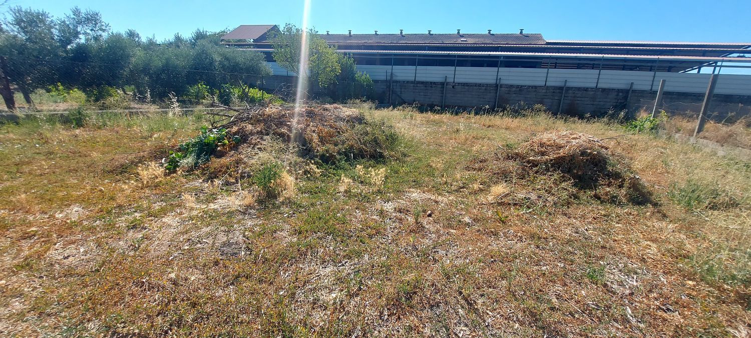 Finca rústica en Urbanización la Morena s/n, Patrocinio - Nueva Talavera, Patrocinio - Nueva Talavera - Foto 6