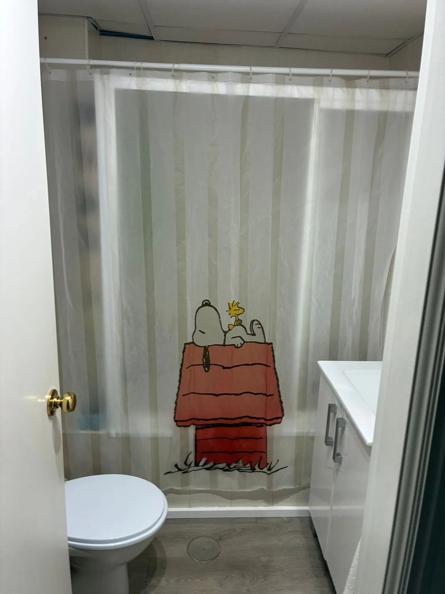 Piso en paseo de Europa, 27 - Foto 6