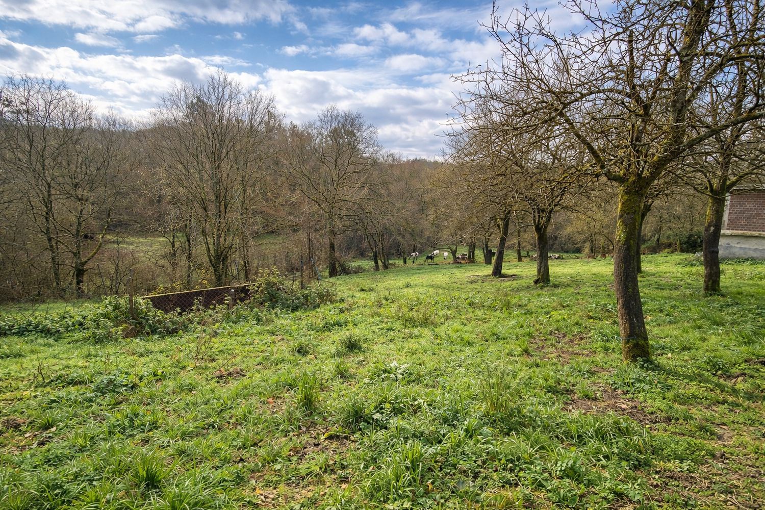 Casa rural en Raxas, 1 - Foto 2