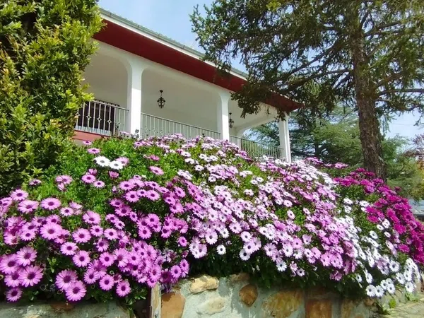 Casa o chalet independiente en Viñas de Valhondo, 10 - Foto 10