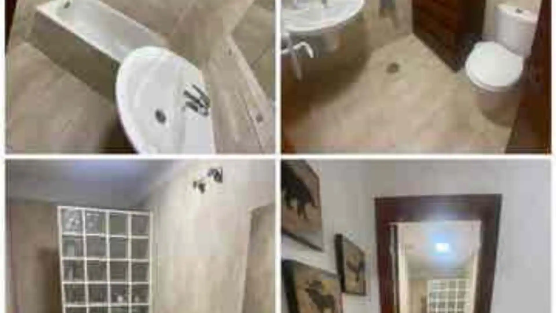 Piso en San Lorenzo - Foto 3