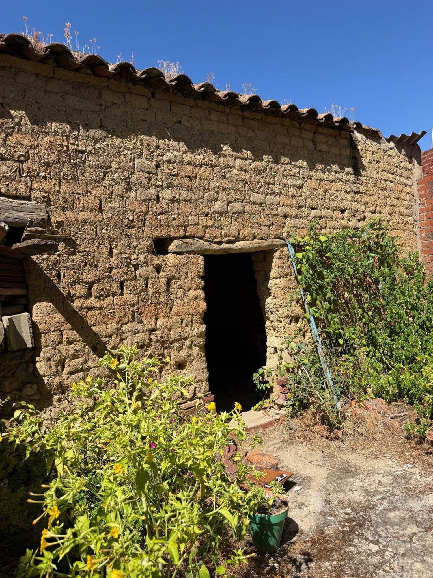 Casa de pueblo en Calle Murillo, 20 - Foto 28