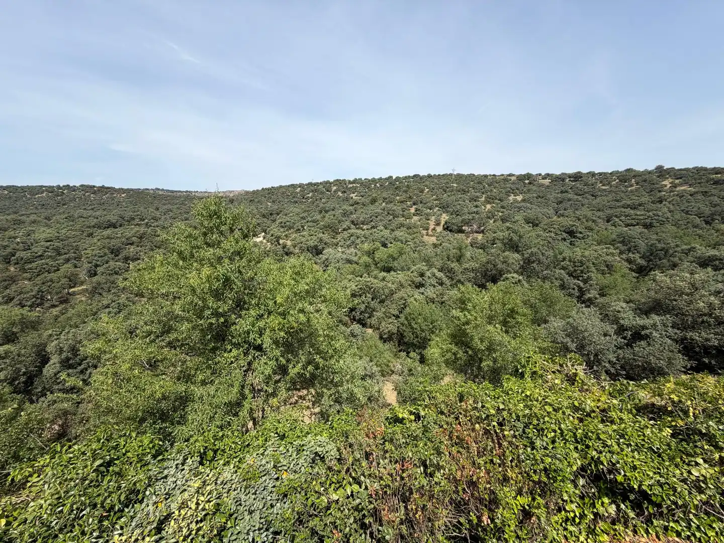 Chalet en Las Rozas de Madrid - Foto 12