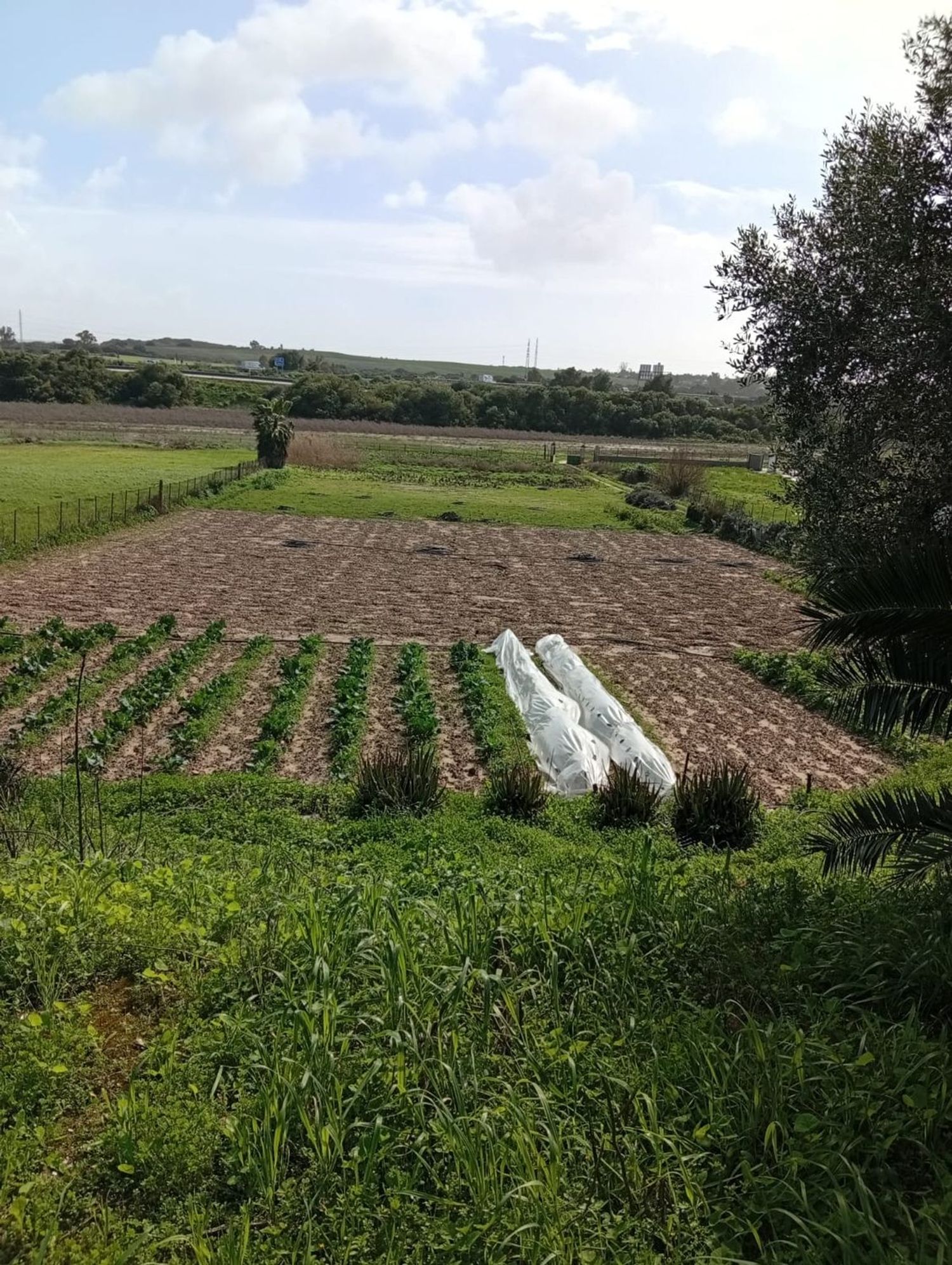 Finca rústica en camino Cañada del Fontanar s/n - Foto 1