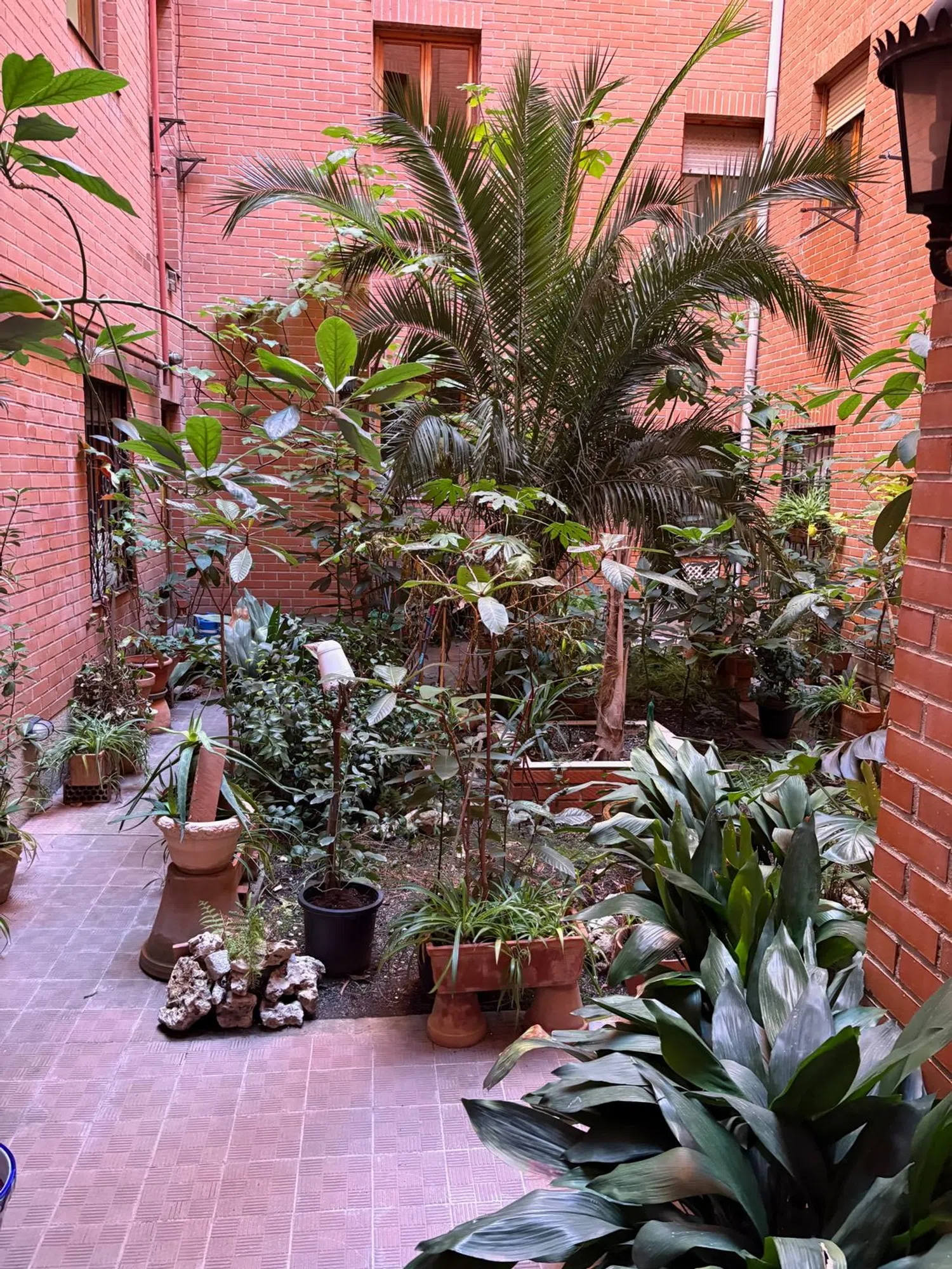 Piso en Barrio Malasaña-Universidad - Foto 21