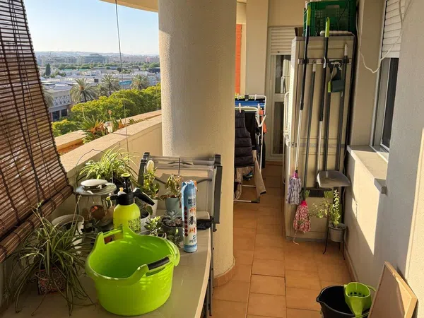 Piso en Calle Afrodita, 10, Jardines de Hércules - Foto 22