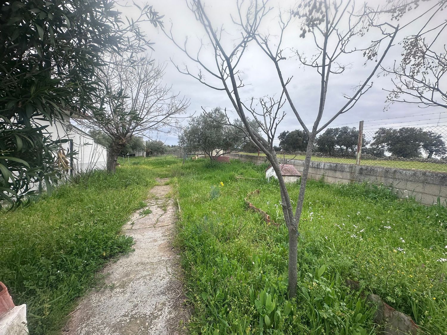 Finca rústica en Calle Pozoblanco s/n - Foto 26