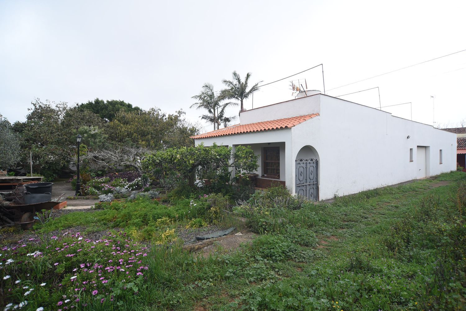 Casa terrera en Calle la Caridad, 1, Tacoronte - Los Naranjeros, Tacoronte - Los Naranjeros - Foto 13