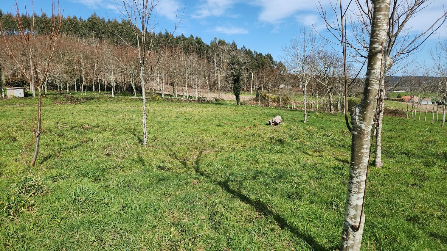 Finca rústica en Piolla s/n - Foto 6