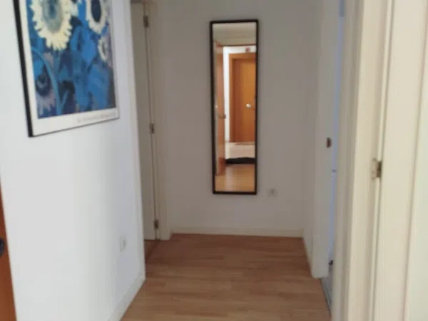 Piso en Calle de Jesús i Maria, 2, La Petxina - Foto 14