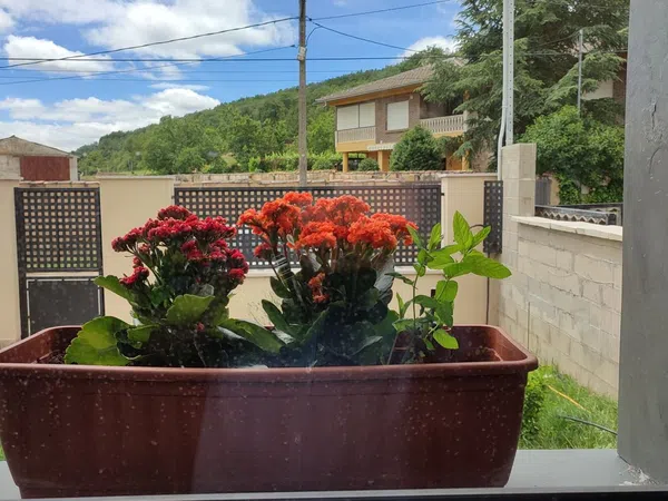 Casa o chalet independiente en Calle Crescencio Fernández s/n - Foto 14