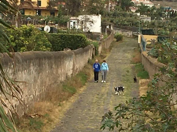 Casa independiente en calle Violeta del Teide, 2 - Foto 4