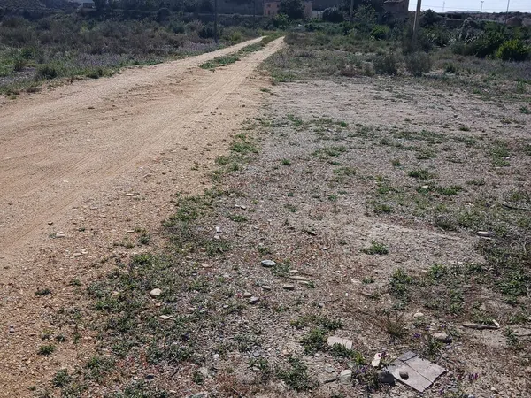 Cortijo en Barriada las Cunas s/n - Foto 4