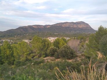 Piso en Pedreguer - Foto 31
