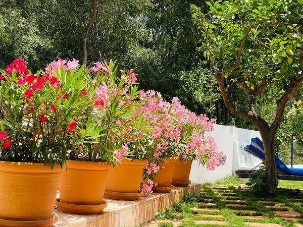 Casa independiente en calle Diseminado s/n sn - Foto 28