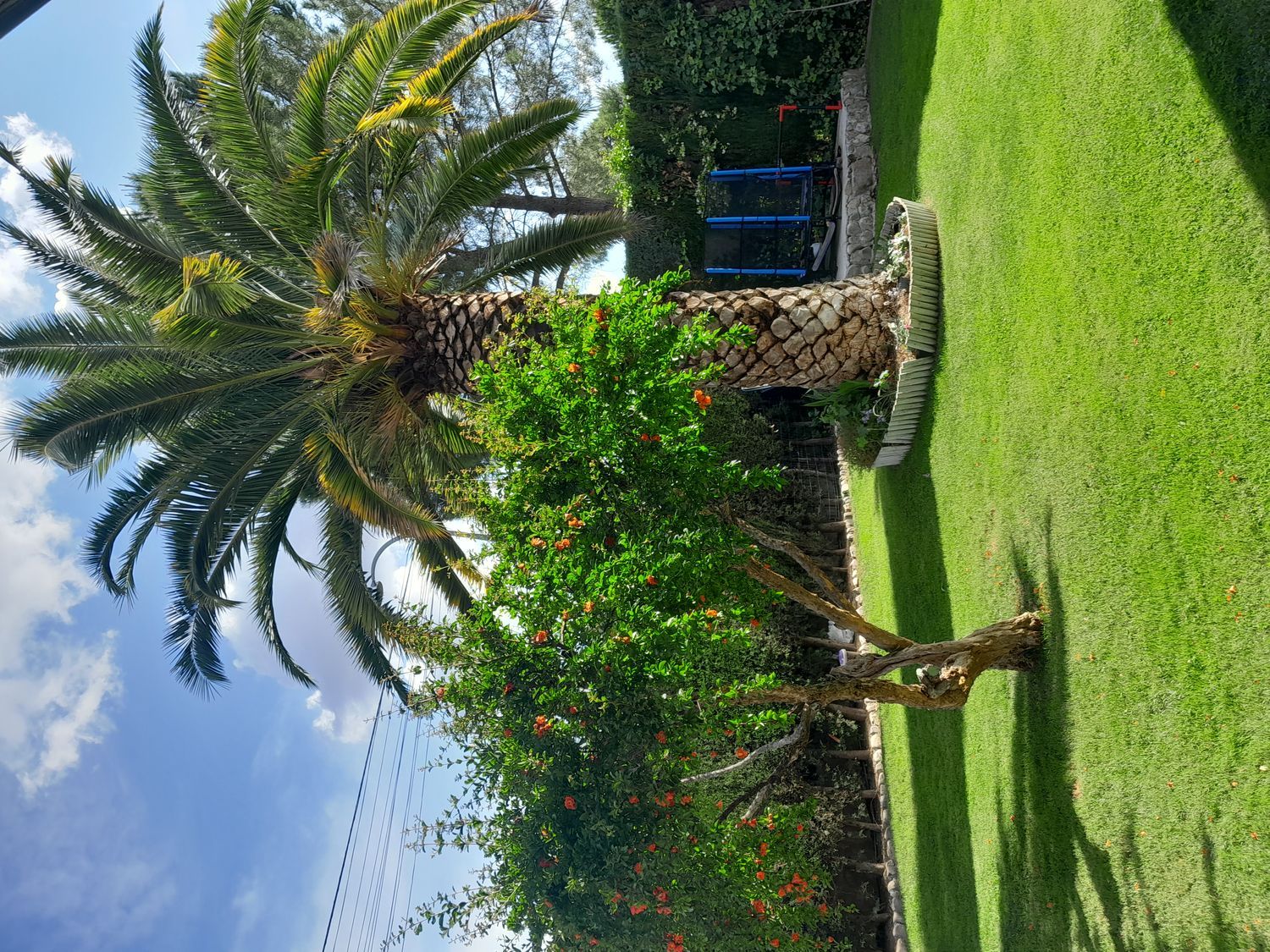 Piso en Urb. el bosque El Bosque - Foto 18