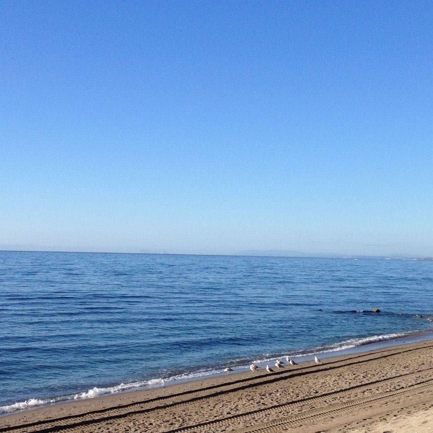 Piso en Avenida de Albatros, 6, Bahía de Marbella - Foto 8