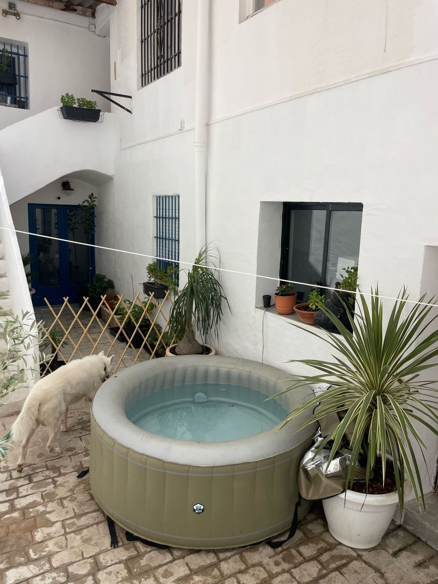 Chalet adosado en Calle Sanchiz Banús, 1 a - Foto 21