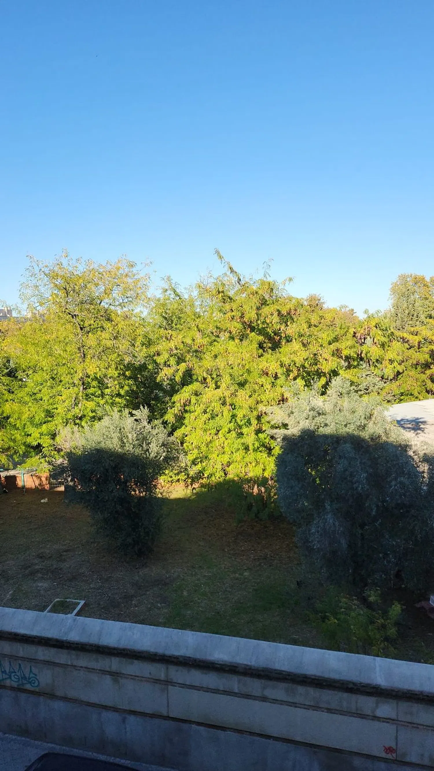 Piso en calle Marianistas, 11 - Foto 15