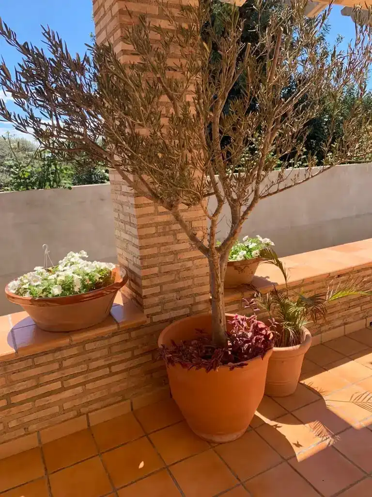 Chalet en  Plaça Poligono 11 782 - Foto 25