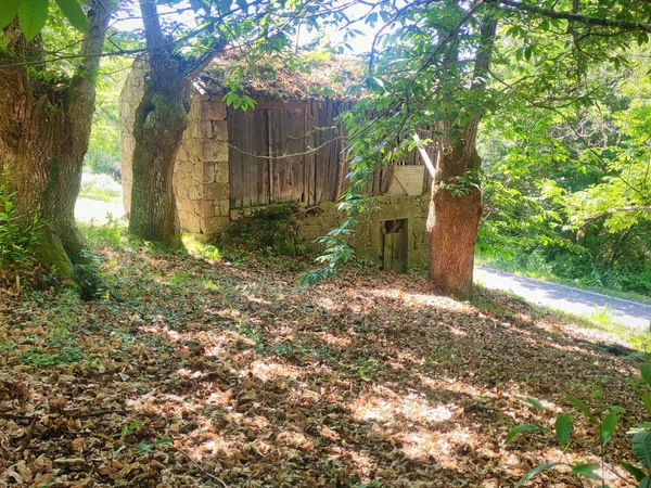 Casa de pueblo en Sacardebois, 605 Ou - Foto 17