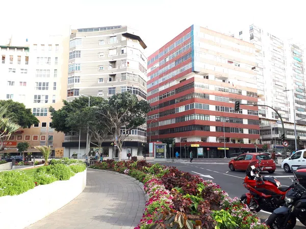 Piso en Calle Néstor de la Torre, 29, Alcaravaneras - Foto 24