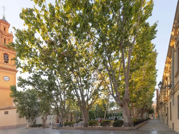 Piso en Barrio Campanar