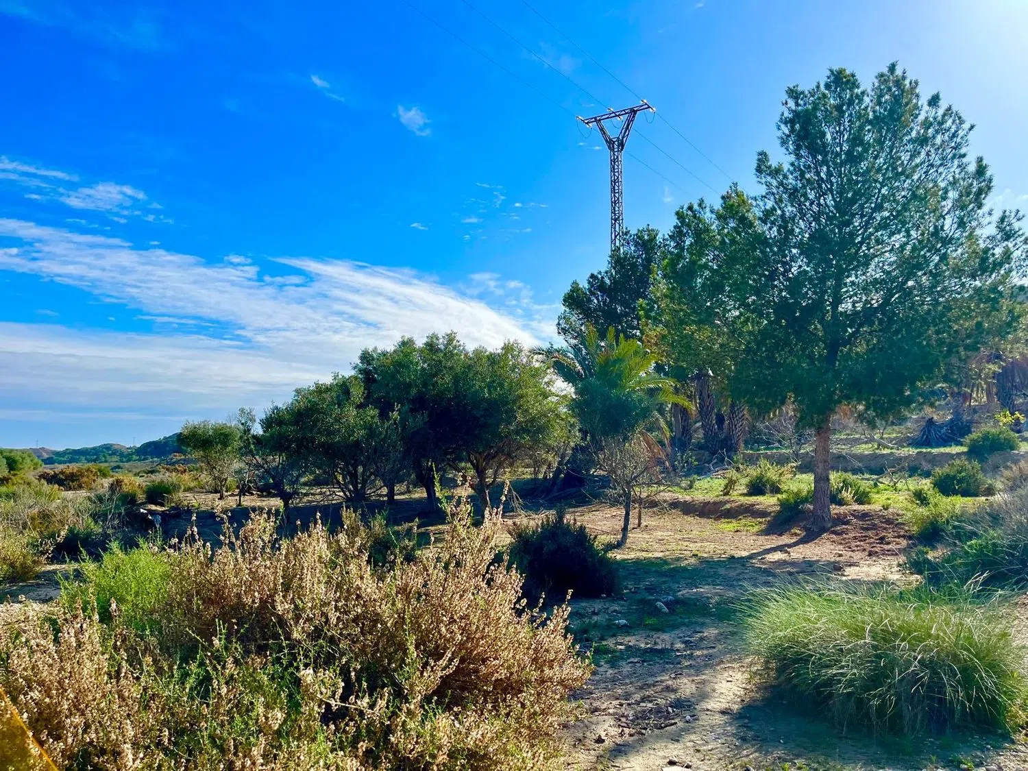 Finca rústica en camino Viejo de Saladas, 2 - Foto 16
