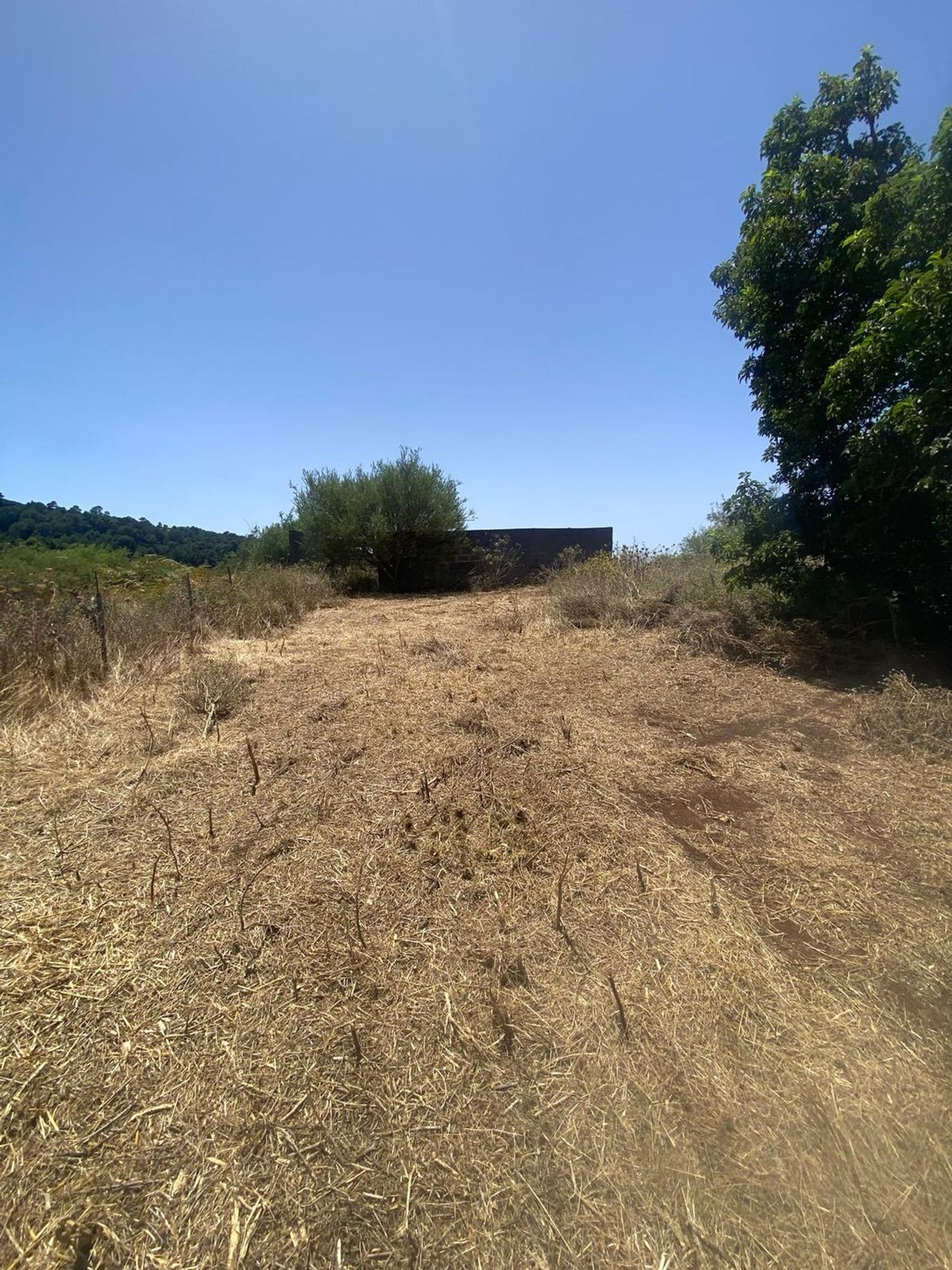 Finca rústica en Calle Mocolon, 59 Poligonoparcela - Foto 16