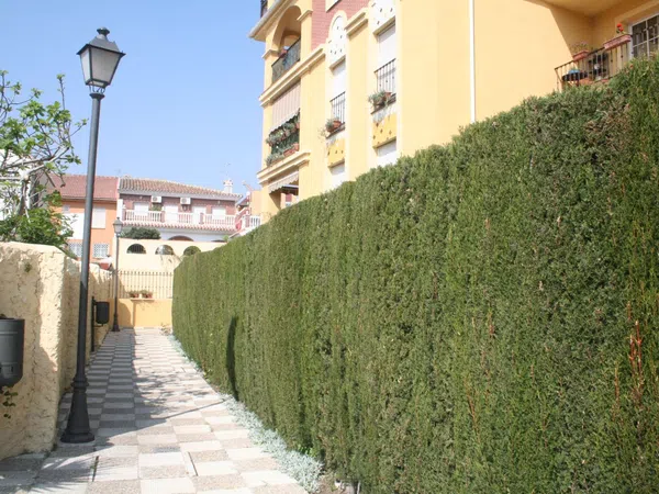 Piso en Calle Pedro Mantuano, 8, Camino de Antequera - Foto 3