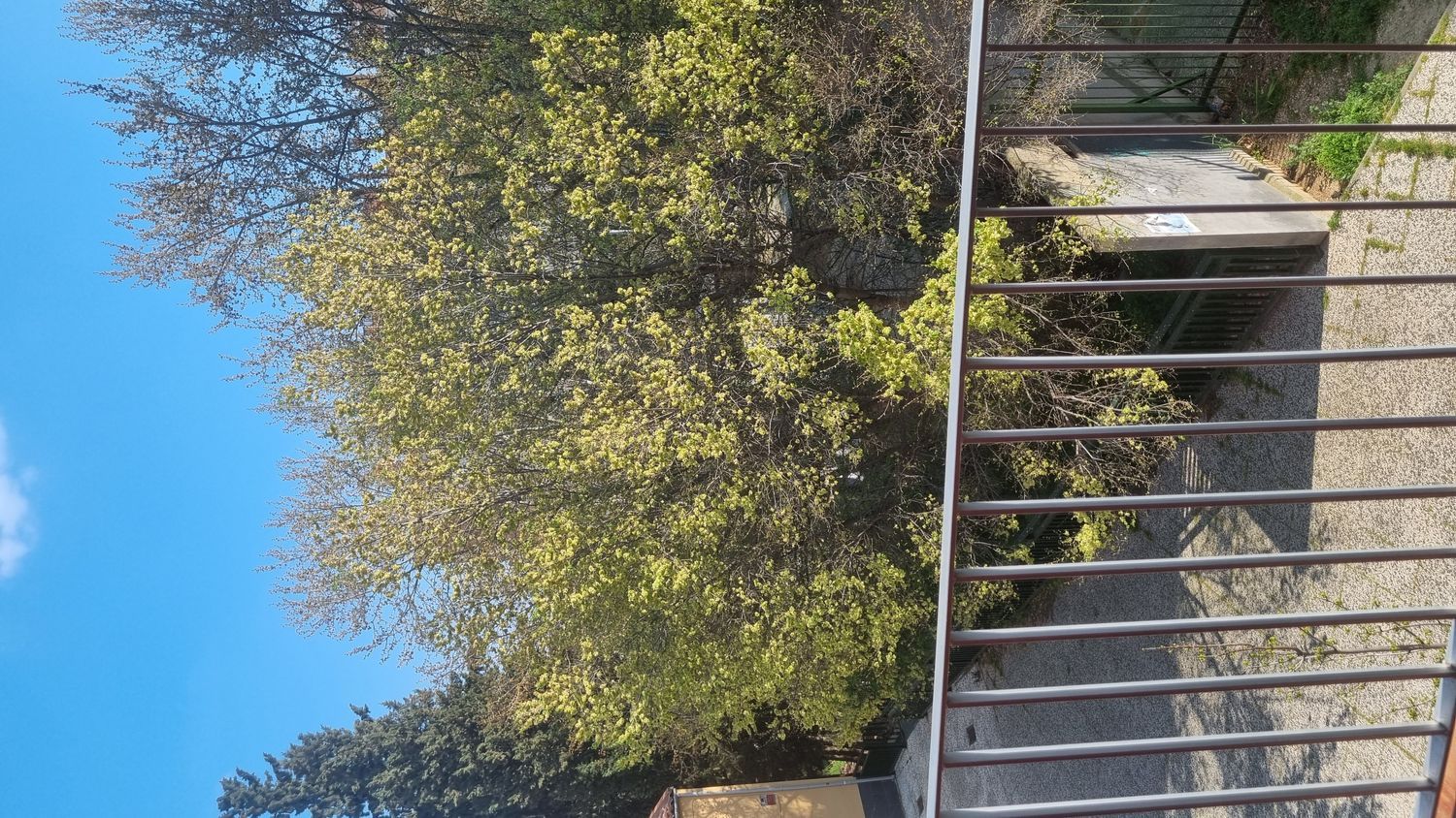 Piso en calle de Mosén José Bosqued, 26 - Foto 23