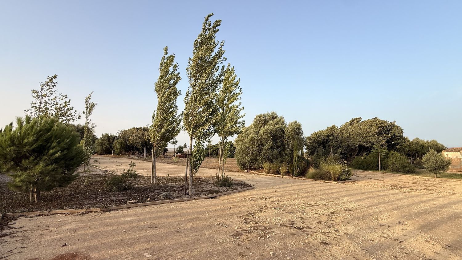 Finca rústica en Ca-4201 s/n, Barrio Nuevo, Barrio Nuevo - Foto 13
