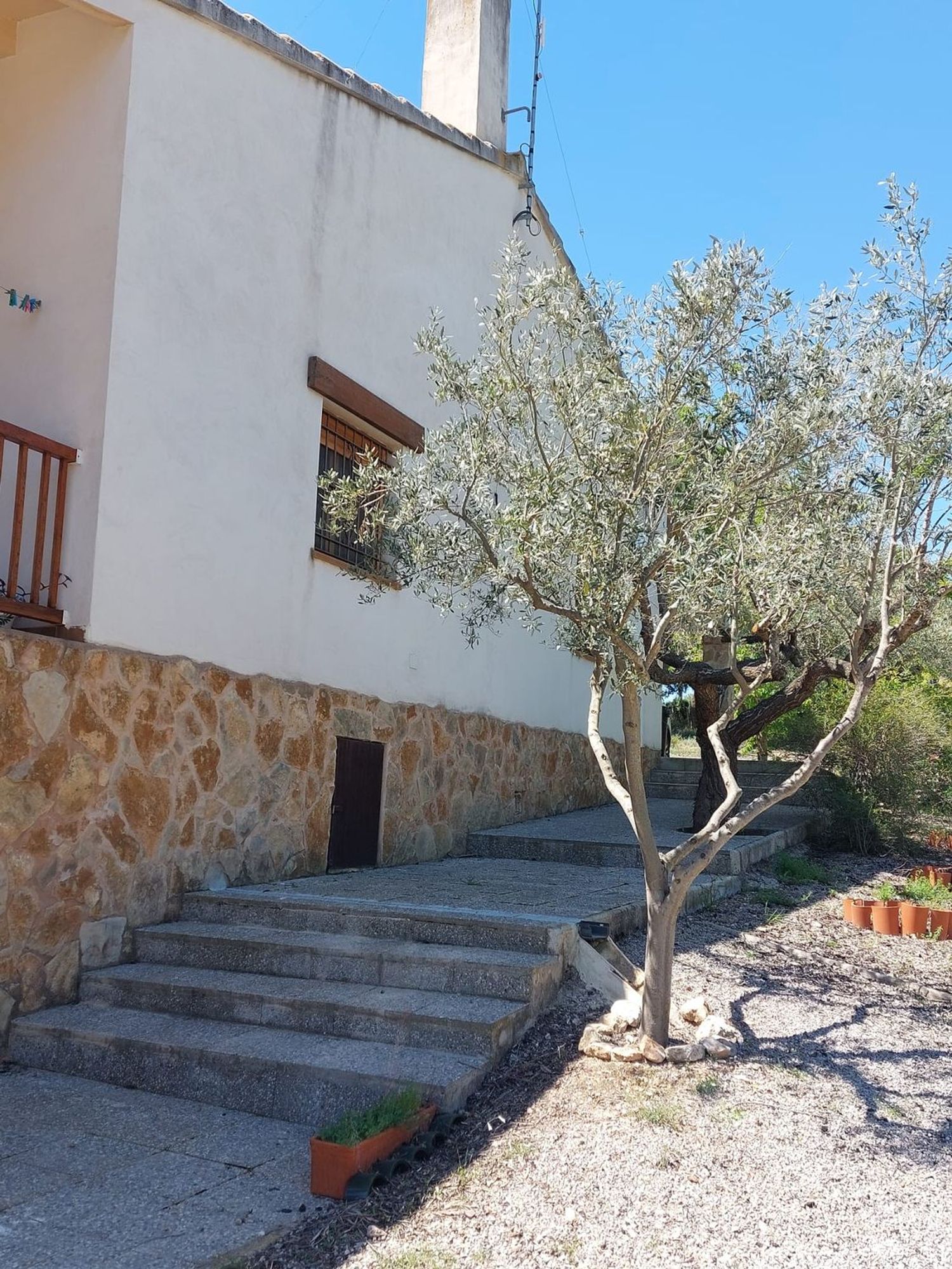 Finca rústica en Diseminado Sendero Fuente Mula s/n - Foto 14