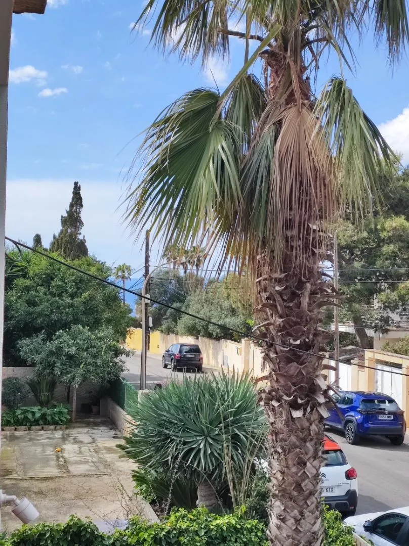 Planta baja en  Carrer Font Obrador 29 - Foto 1